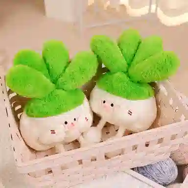 OLOEY 25cm