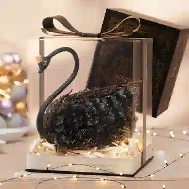 MINI 590pcs OLY-WJJcM-60