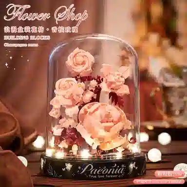 diy 301-600pcs OLY-WJJcM-551