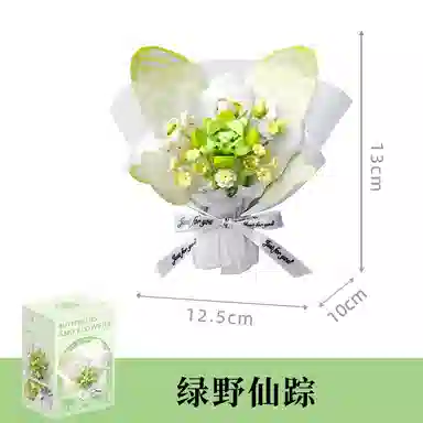 DIY 0-300pcs OLY-WJJcM-580