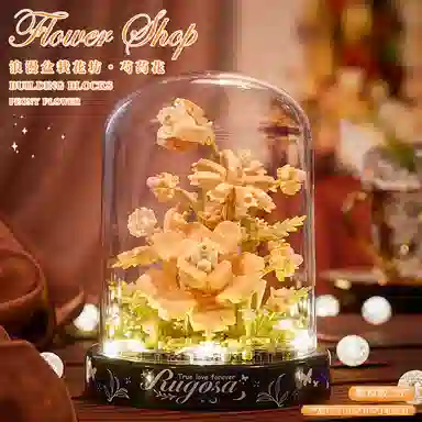 diy 301-600pcs OLY-WJJcM-551