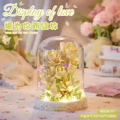 301-600pcs OLY-WJJM-06