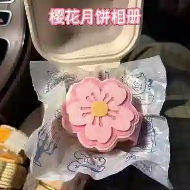 欧洛伊 创意可爱兔子月饼相册 不织布小月饼卡册卡套照片收纳 中秋送好朋友礼 其他手工制作