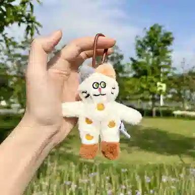 abay 10cm
