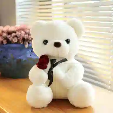 abay 30cm