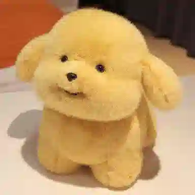 abay 20cm30cm