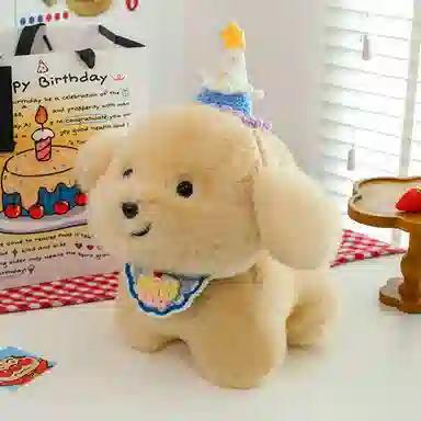 abay 20cm30cm