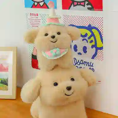 abay 20cm30cm