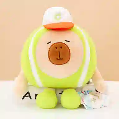 abay 30cm40cm