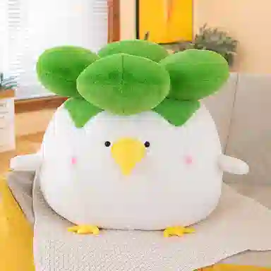abay 30cm50cm