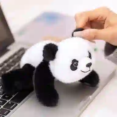 Brangdy 18cm