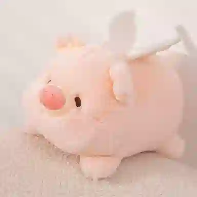 Brangdy 20cm35cm