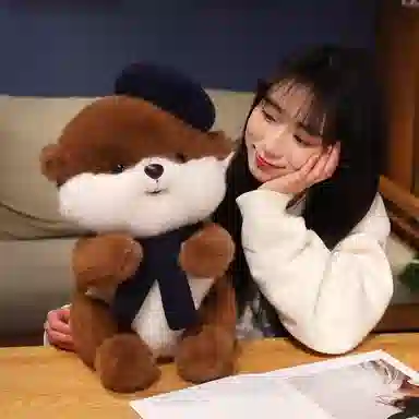 Brangdy 35cm45cm