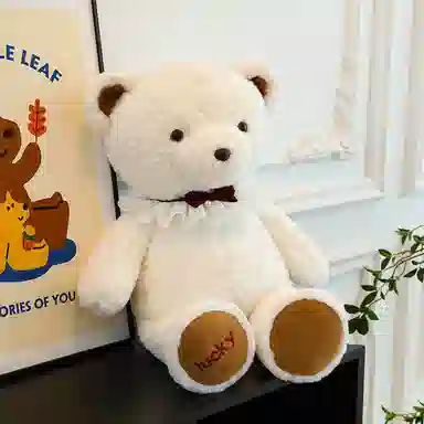 Brangdy 28cm45cm65cm