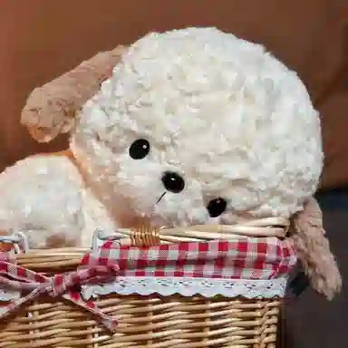 Brangdy 25cm35cm45cm