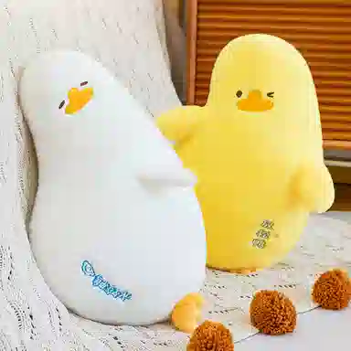 Brangdy 60cm80cm100cm