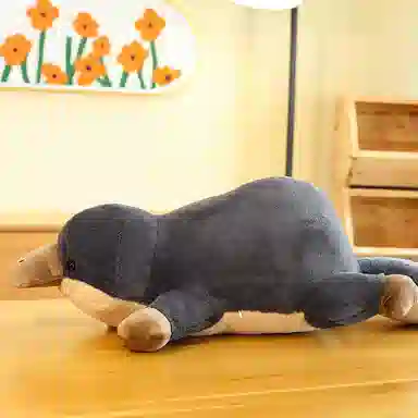 Brangdy 60cm70cm80cm90cm