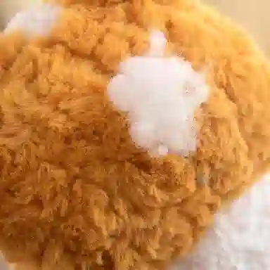 Brangdy 33cm45cm60cm