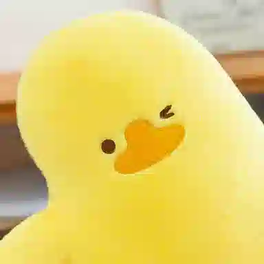 Brangdy 60cm80cm100cm