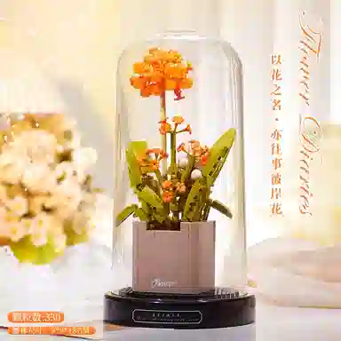 Brangdy 301-600pcs BRA-JM-24