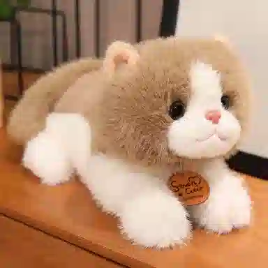 Brangdy 35cm