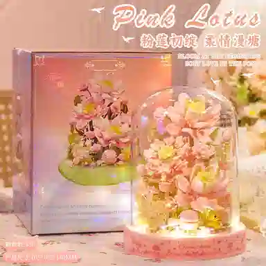 Brangdy DIY7 301-600pcs BRA-JM-91-1