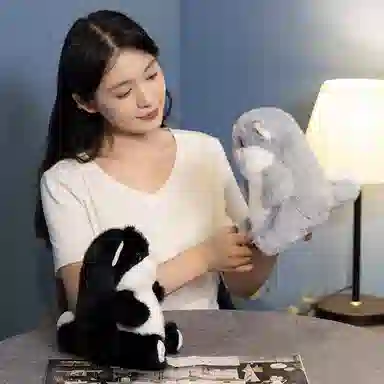 Brangdy 20cm