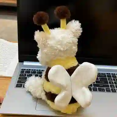 Brangdy 25cm