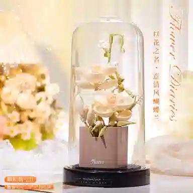 Brangdy 301-600pcs BRA-JM-24