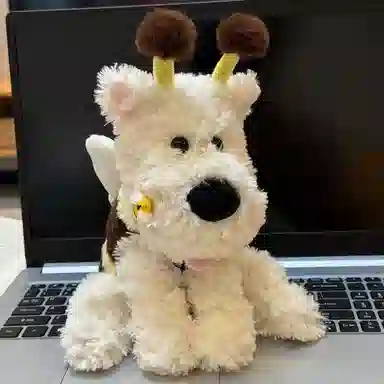 Brangdy 25cm