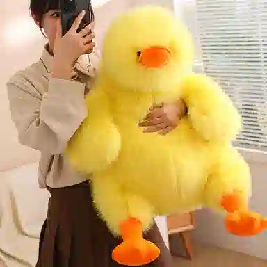 Brangdy 45cm70cm95cm