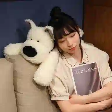 Xiaopaomo Foam Dog Plush Pillow