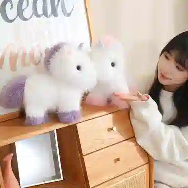 24cm45cm55cm