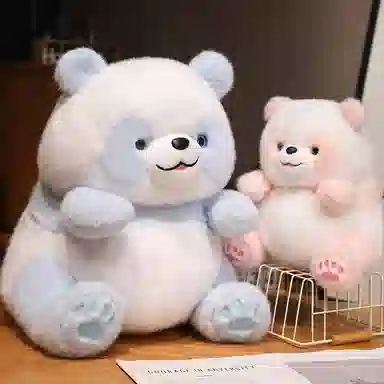 25cm40cm50cm