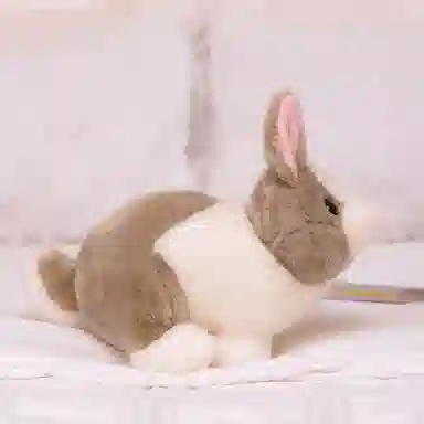 28cm
