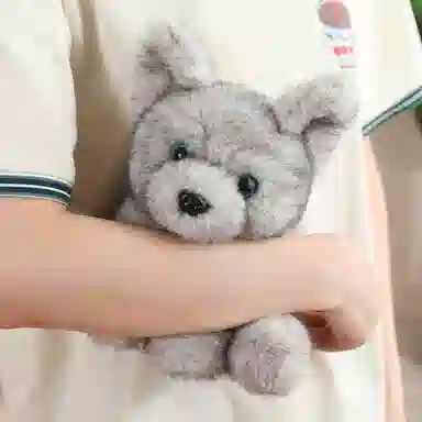 22cm