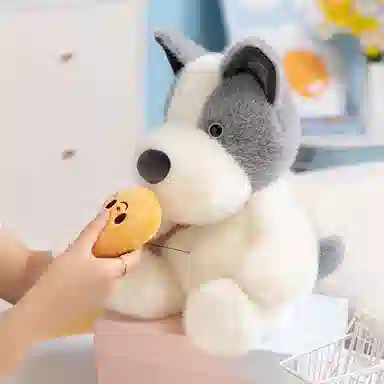 25cm35cm