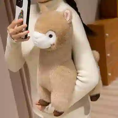 30cm40cm