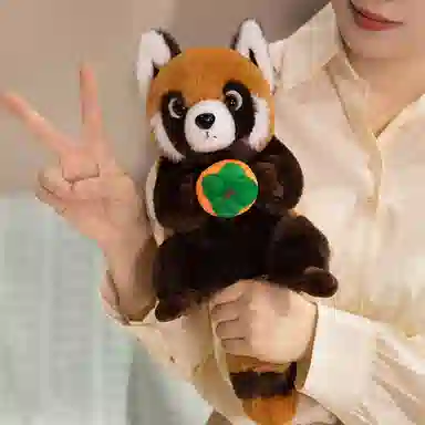 25cm
