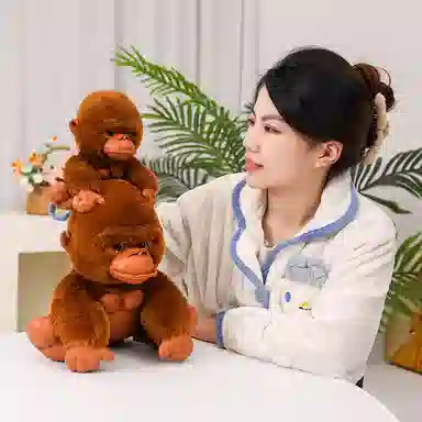 20cm30cm