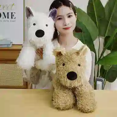22cm30cm40cm
