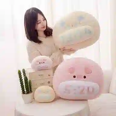 20cm48cm