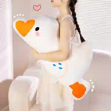 50cm65cm