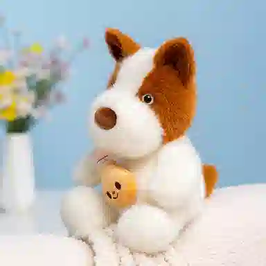 25cm35cm