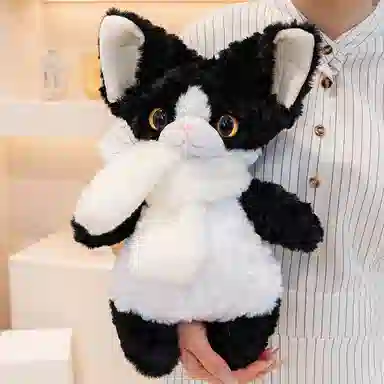 37cm