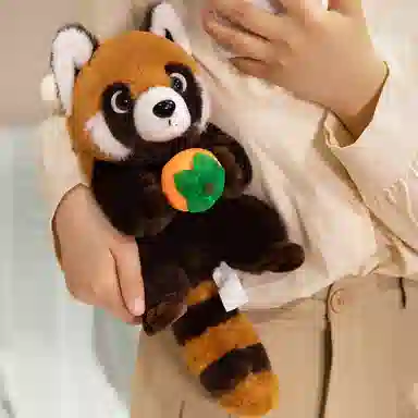 25cm