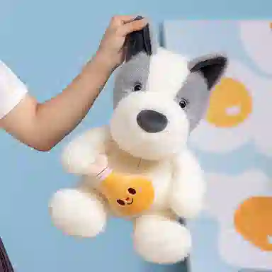 25cm35cm