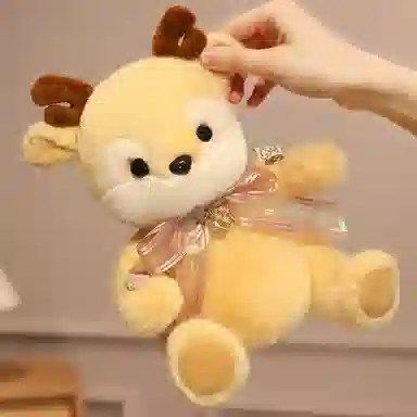 25cm