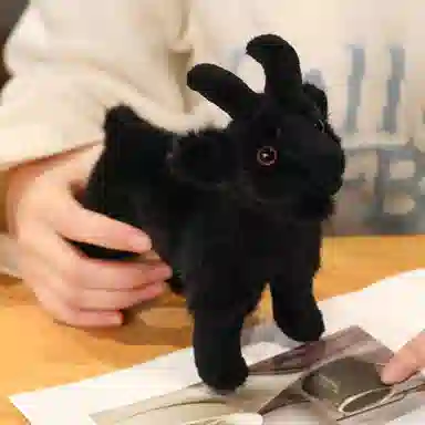 16cm