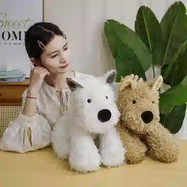 22cm30cm40cm